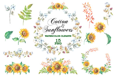 Cotton and sunflowers watercolor png