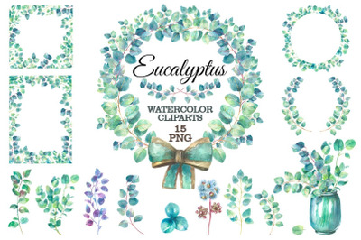 Eucalyptus watercolor clipart