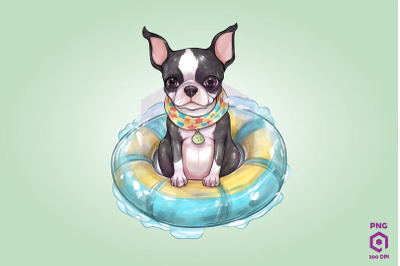 Boston Terrier wearing swim float