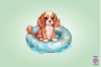 King Charles Spaniel wearing swim float