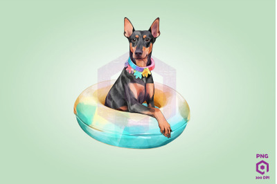 Doberman Pinscher wearing swim float