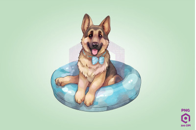 German Shepherd wearing swim float