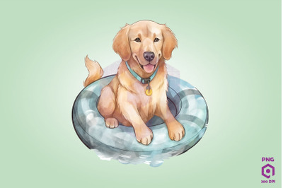 Golden Retriever wearing swim float