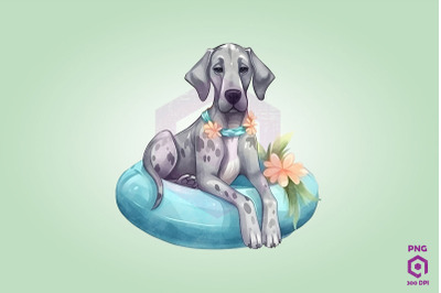 Great Dane wearing swim float