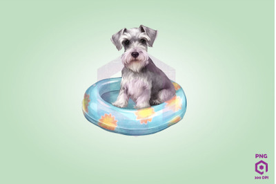 Miniature Schnauzer wearing swim float