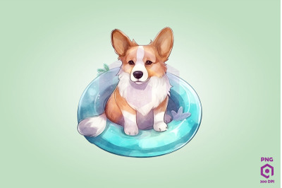 Pembroke Welsh Corgi wearing swim float