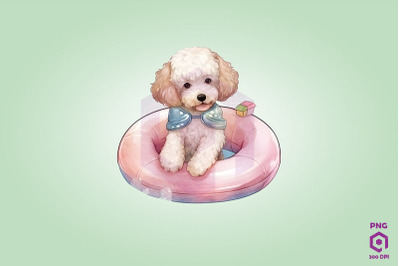 Poodle wearing swim float