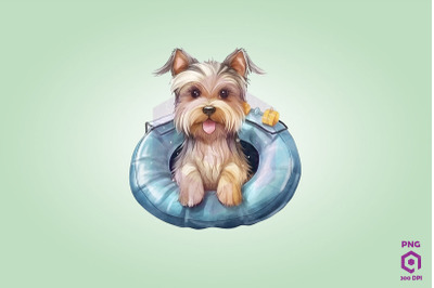 Yorkshire Terrier wearing swim float