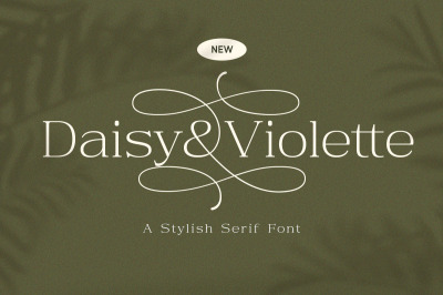 Daisy &amp; Violette - Stylish Modern Serif