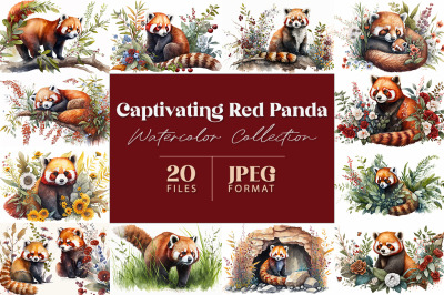 Captivating Red Panda Watercolor Collection