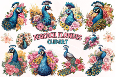 Peacock Flowers Clipart