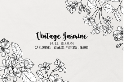 Vector Vintage Jasmine Clipart, Black and White, Flower Clip Art, Vint