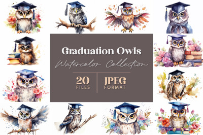 Graduation Owls Watercolor Collection