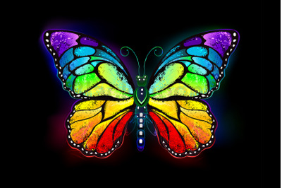 Rainbow luminous butterfly