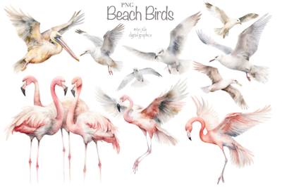 Coastal Birds Watercolor Clipart