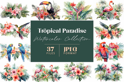 Tropical Paradise Watercolor Collection