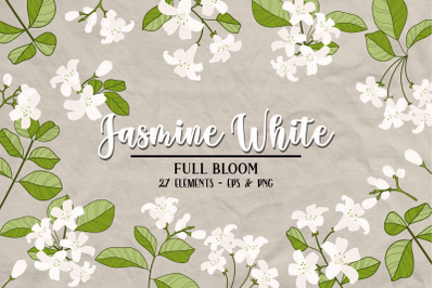 Vector Vintage Jasmine Clipart, White, Flower Clip Art, Vintage, Flowe
