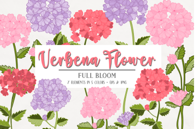 Vector Vintage Verbena Flower Clipart, Clip Art, 5 Color Variations