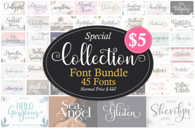 Special Collection Font Bundle