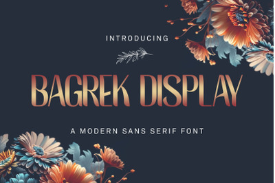 BAGREK DISPLAY - Sans Serif Font