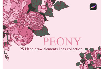 25 Detailed Peony Stamps Procreate 2