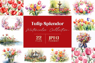 Tulip Splendor Watercolor Collection