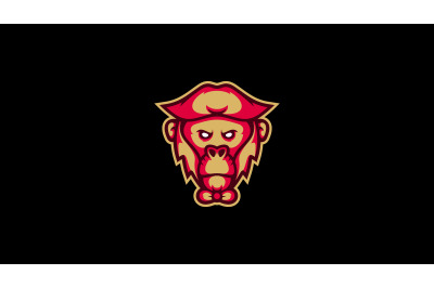 Pirate Monkey head logo abstract vector template