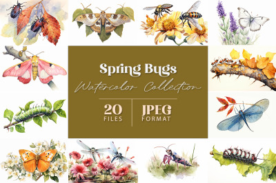 Spring Bugs Watercolor Collection