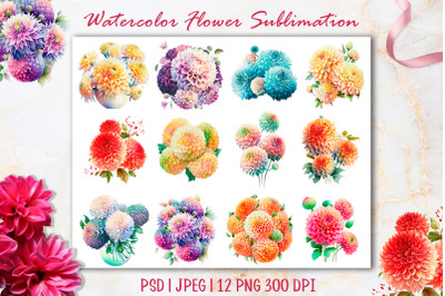 Watercolor Pompon Dahlias Flower Sublimation 12 PNG