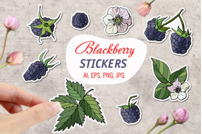 Blackberry/ Printable Stickers Cricut Design