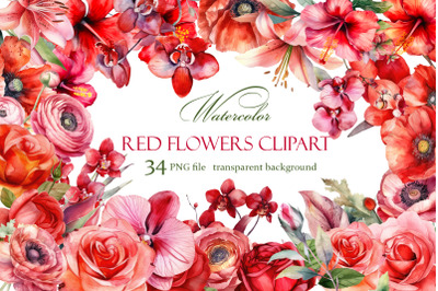 Red flower. Watercolor clipart collection Bundle