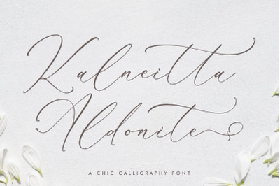 Kalneitta Aldonite - Chic Calligraphy Font