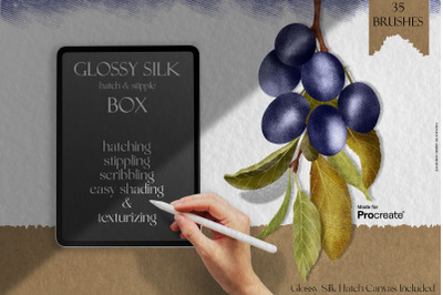 Glossy Silk Box for Procreate