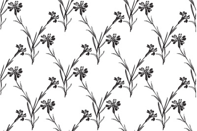 Botanical hand drawn floral seamless pattern. Spring plant vintage abs