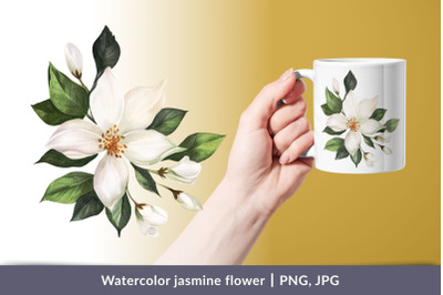 Watercolor jasmine flower