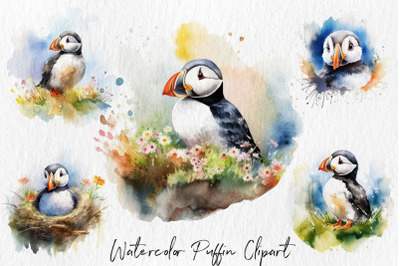 Watercolor puffin bird clipart