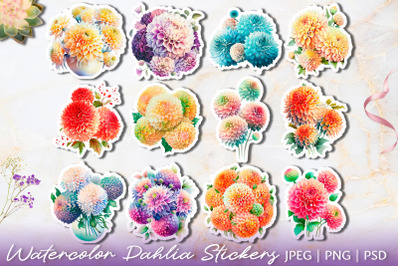 Watercolor Pompon Dahlias Flower Stickers 12 PNG