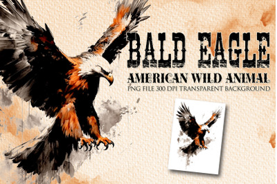 Bald Eagle American wild animal clipart