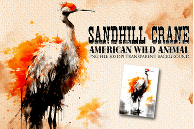 Sandhill crane American wild animal PNG