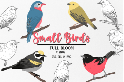 Small Birds Clipart Vectors, Design, Illustration, Birds set, Vector C