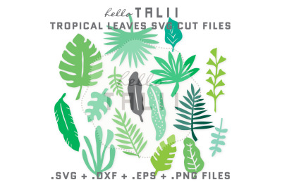 TROPICAL LEAVES SVG CUT FILES