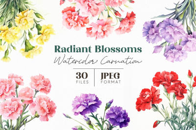 Radiant Blossoms Watercolor Carnation