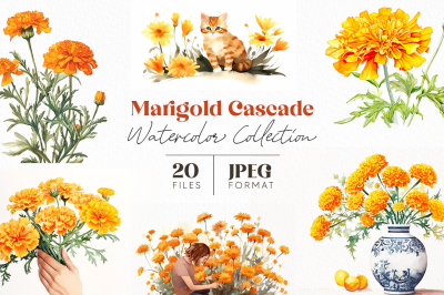 Marigold Cascade Watercolor Collection