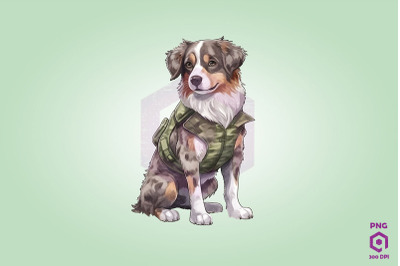 Australian Shepherd Wearing ARMY Uniform