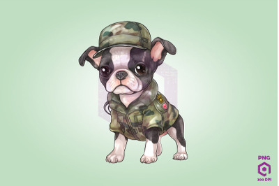 Boston Terrier Wearing ARMY Uniform