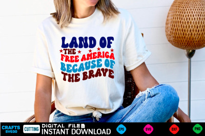 Land of the free ameriga because of the brave retro design