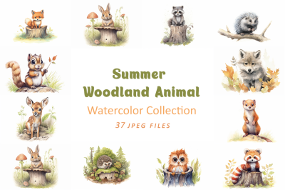 Summer Woodland Animals