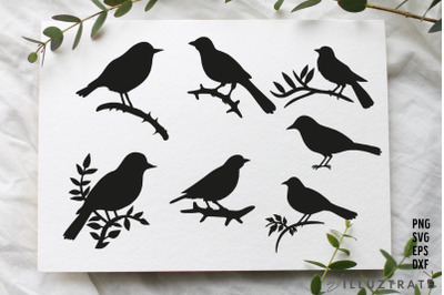 Bird SVG Cut Files | Bird Silhouette Clipart | Bird Silhouette PNG