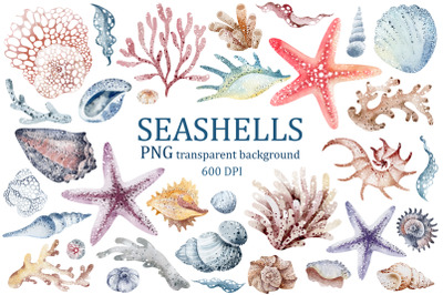 Watercolor set of SEA SHELLS|46 PNG elements