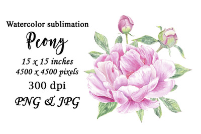 Watercolor Peony Pink Flowers Sublimation PNG JPG